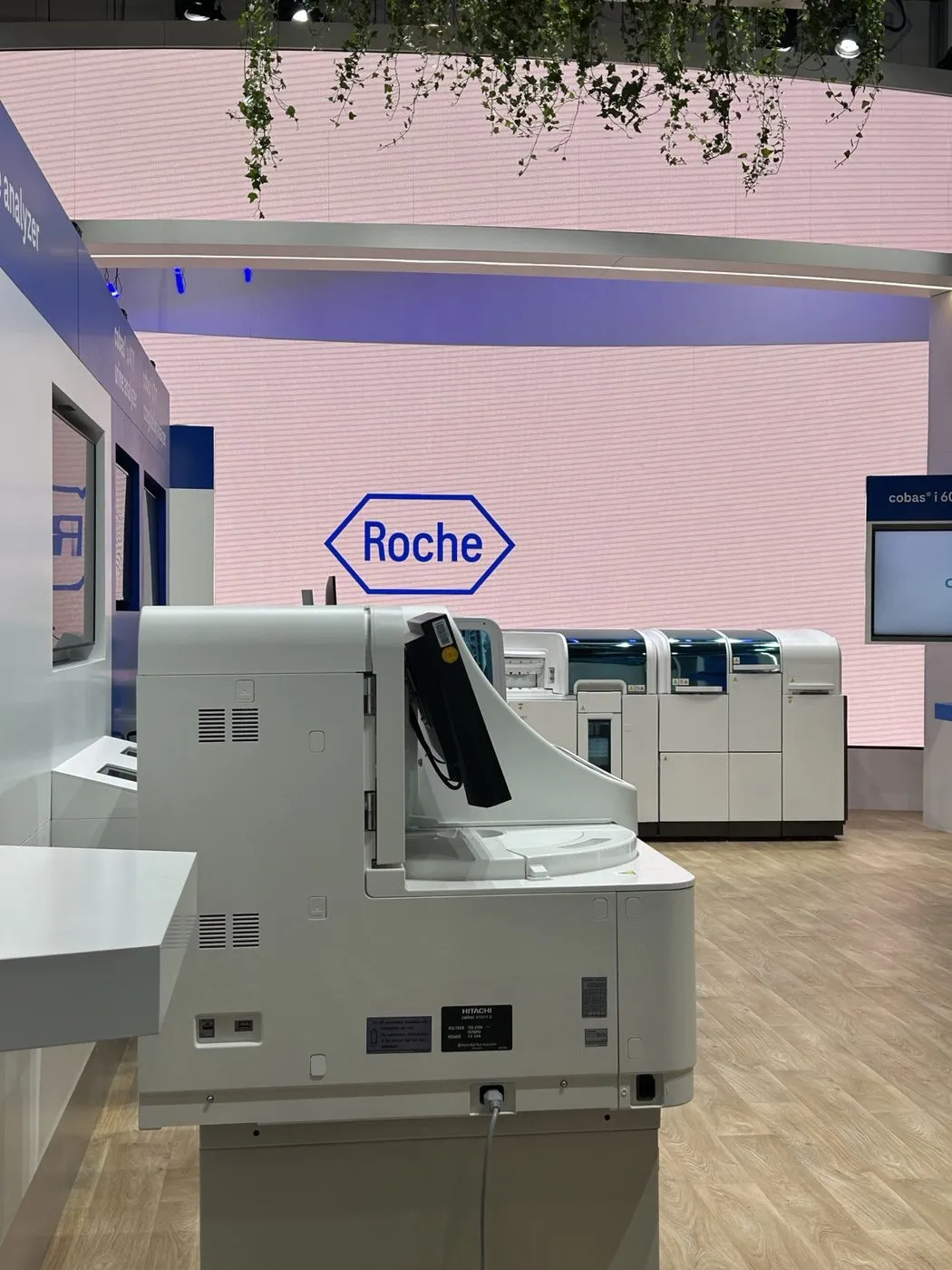 Roche